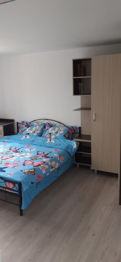 Pensiunea Lyo Două Mai Pokoj fotografie